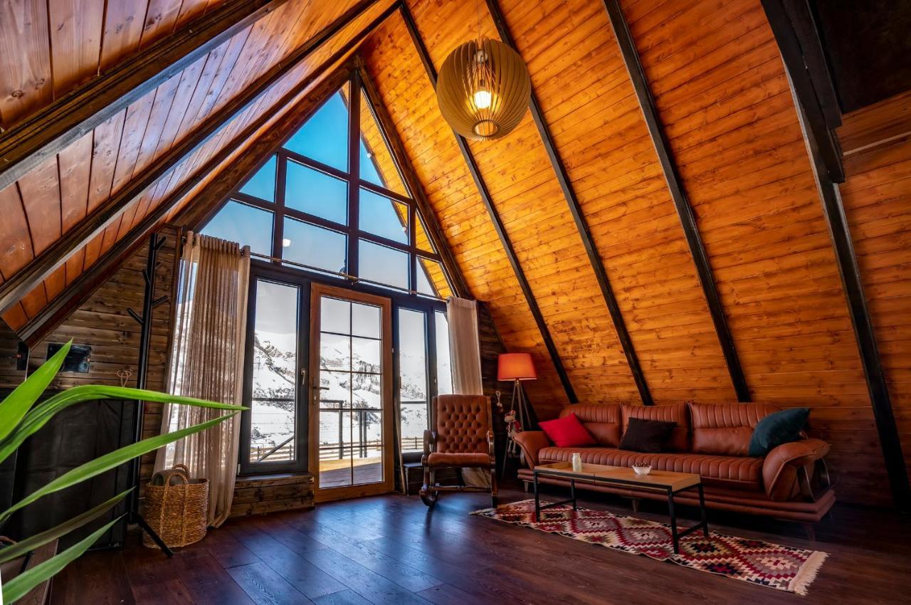 Voyager Villa Kazbegi Luaran gambar